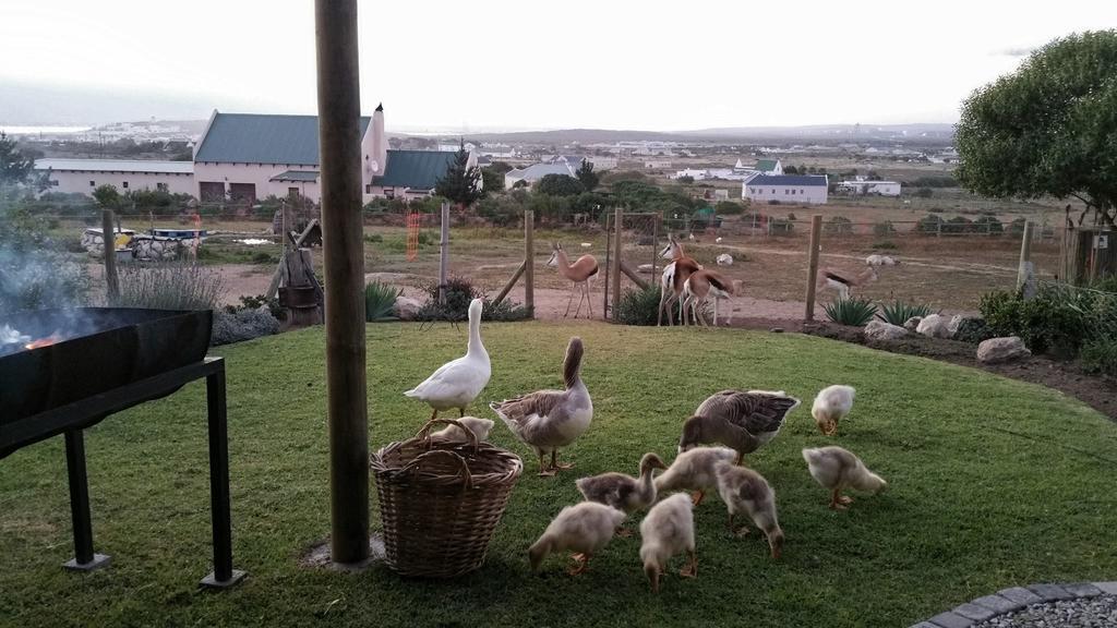 The Stables Accommodation Langebaan Quarto foto