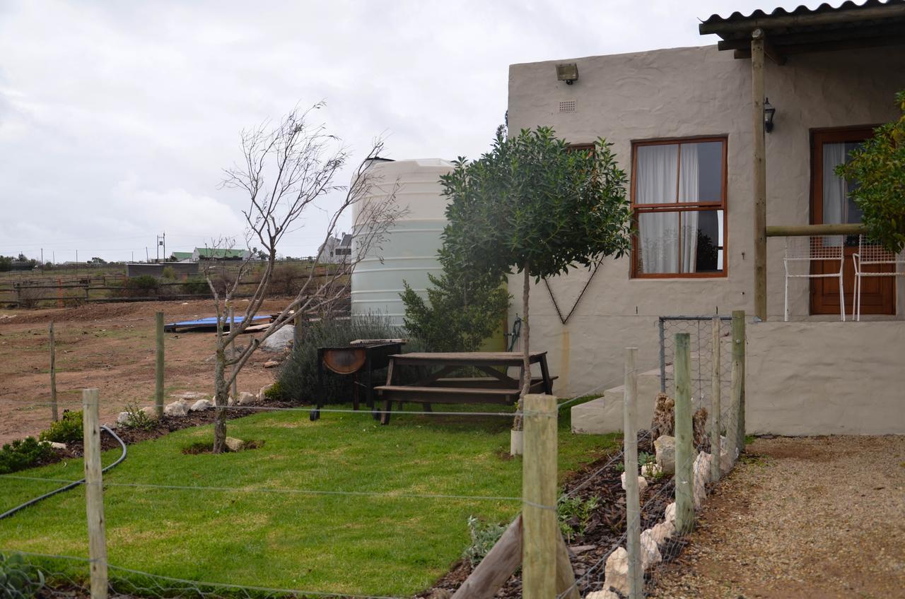 The Stables Accommodation Langebaan Exterior foto